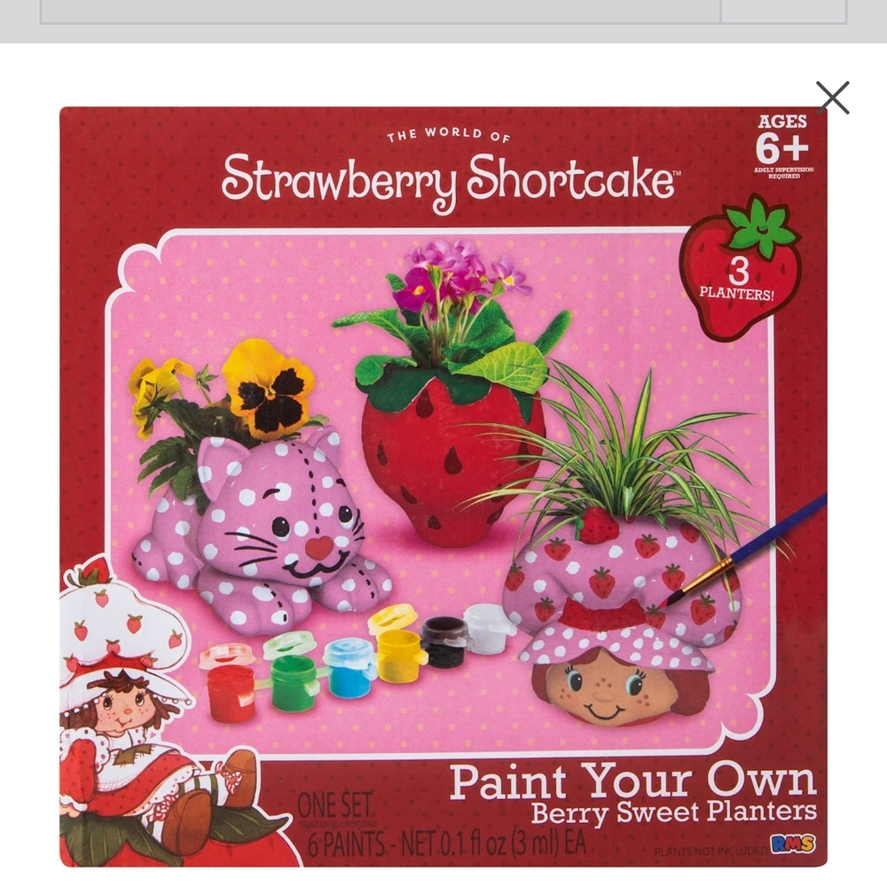 Strawberry Shortcake Paint Your Own Planters